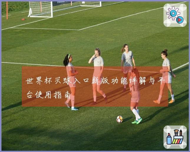 世界杯买球入口新版功能详解与平台使用指南